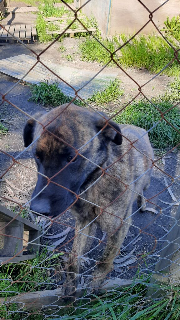 This image has an empty alt attribute; its file name is 20230923_131342-576x1024.jpg